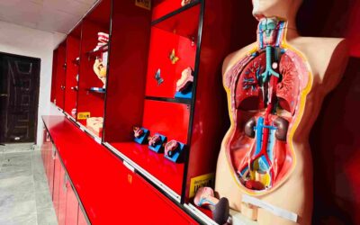 Anatomy Lab